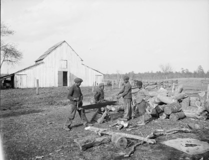 Nigger in the wood pile, c1905. Creator: Unknown.