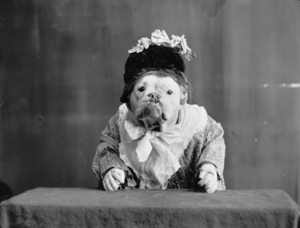 The Missis, c1905. Creator: Unknown.