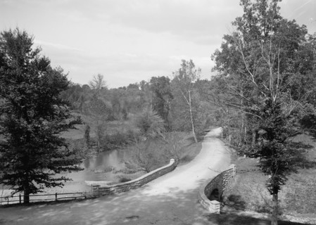 Rock Creek Road, Zoo Park, Washington, D.C., c1906. Creator: Unknown.