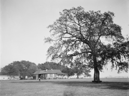 Mobile Country Club, Mobile, Ala., between 1900 and 1906. Creator: Unknown.