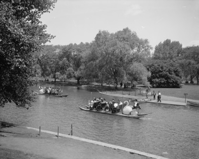 Swan boats, Public Gardens, Boston, Mass., between 1900 and 1906. Creator: Unknown.