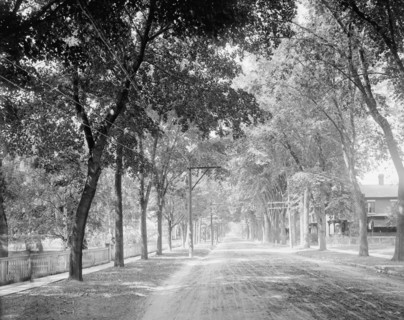 Brinkerhoff St. (west from park), Plattsburgh, N.Y., c1907. Creator: Unknown.