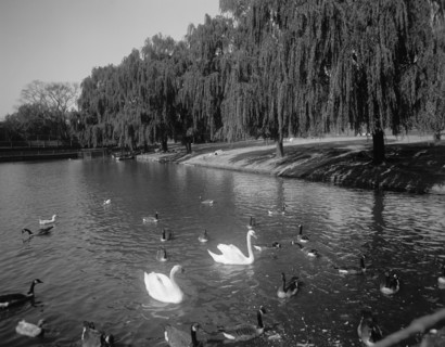 Lafayette Park, Norfolk, Va., between 1900 and 1920. Creator: Unknown.