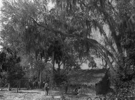 The Orange pickers, Ormond, between 1880 and 1899. Creator: Unknown.