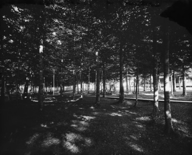Grove, Bay View, Mich., The, between 1890 and 1905. Creator: Unknown.
