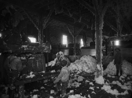 Cotton gin at Dahomey, between 1890 and 1906. Creator: Unknown.