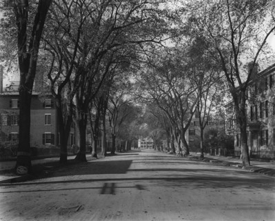 Chestnut St., Salem, Mass., c1906. Creator: Unknown.