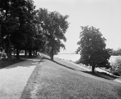 Prospect Park, between 1890 and 1899. Creator: Unknown.