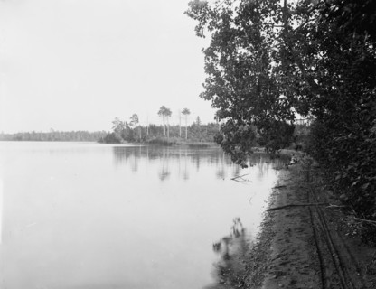 White Bass Lake near Gordon's, Wis., c1898. Creator: Unknown.