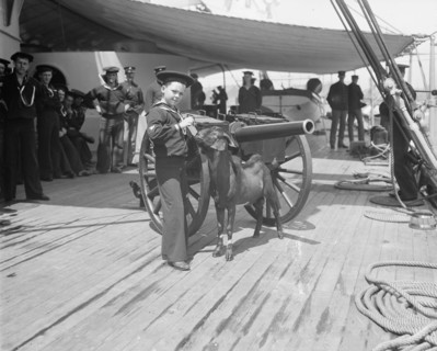 U.S.S. New York, Admiral Sampson's son and Pitch the mascot, between 1893 and 1901. Creator: William H. Jackson.