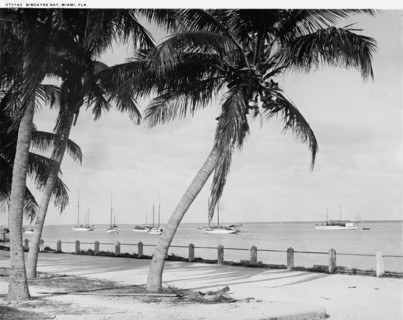 Biscayne Bay, Miami, Fla., c.between 1910 and 1920. Creator: William H. Jackson.