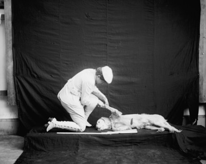 Billy and his mistress in hunting poses, between 1895 and 1910. Creator: Unknown.