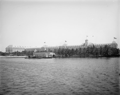Royal Poinciana from wharf, Palm Beach, Fla., 1902. Creator: Unknown.