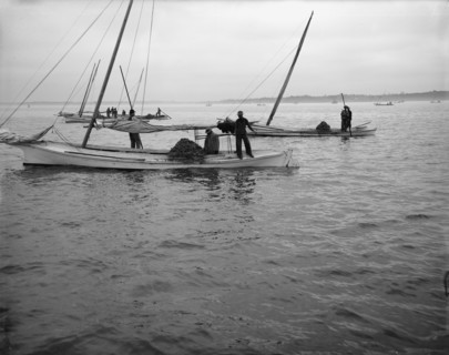 Oyster dredging, between 1900 and 1910. Creator: Unknown.