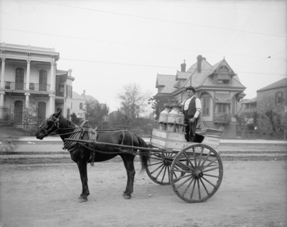 New Orleans milk cart, New Orleans, Louisiana, between 1900 and 1910. Creator: Unknown.