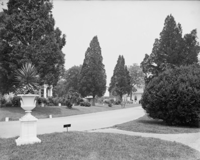 View in National Cemetery, Arlington, Va., between 1900 and 1910. Creator: Unknown.