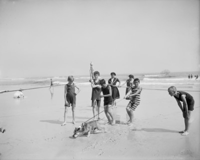 Bulldog on the beach, between 1900 and 1910. Creator: Unknown.