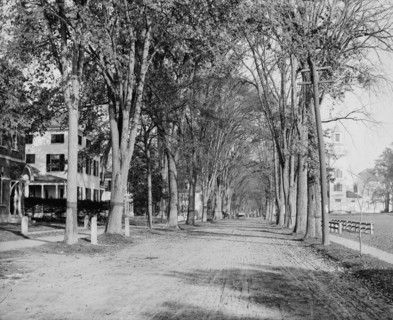 North Main Street, Dartmouth College, ca 1900. Creator: Unknown.