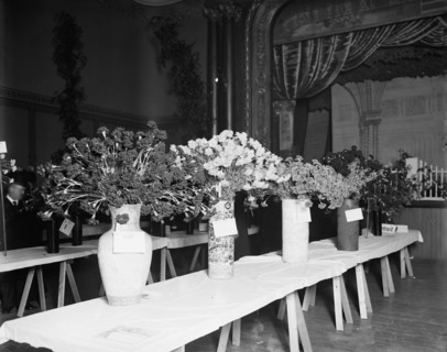 Exhibits, American Carnation Society Exhibition, Detroit, Mich., between 1900 and 1905. Creator: Unknown.