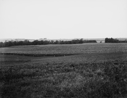 Curve to be straightened, near Oak Grove, Mo., between 1900 and 1905. Creator: Unknown.