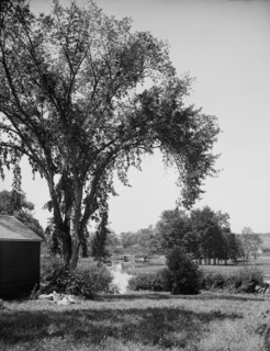 A Glimpse of the Resumpscot [sic] River, Riverton Park, Portland, Me., between 1900 and 1915. Creator: Unknown.