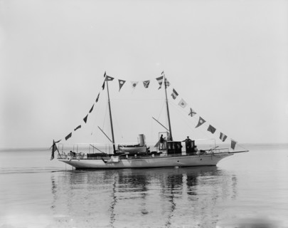 Charlietta, between 1895 and 1900. Creator: John S Johnston.