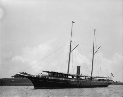 Narwhal, 1895 Aug 4. Creator: John S Johnston.