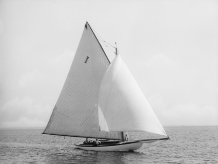 Acushla [II], 1896 June 30. Creator: John S Johnston.