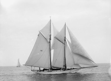 Adrienne, 1897 July 7. Creator: John S Johnston.