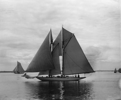 Clorita, 1899 June 17. Creator: John S Johnston.