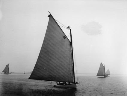 Elsie, 1898 July 30. Creator: John S Johnston.