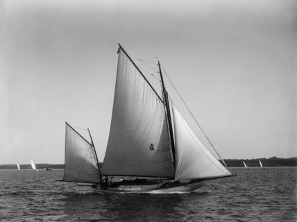 Fidelio, 1896 Aug 1. Creator: John S Johnston.