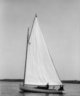 Fugitive, 1896 June 30. Creator: John S Johnston.
