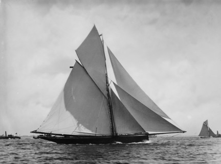 Genesta, c1885. Creator: John S Johnston.