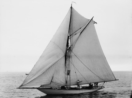 Infanta, 1896 July 22. Creator: John S Johnston.