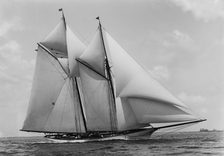 Merlin, 1891. Creator: John S Johnston.