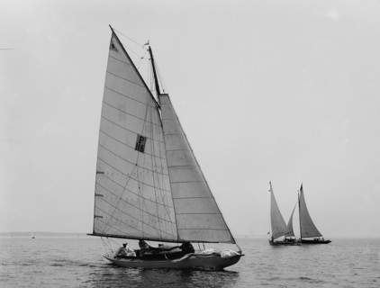 Midge, 1898 July 4. Creator: John S Johnston.