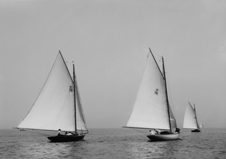 Mongoose, Midge, and Dipper, 1898 July 4. Creator: John S Johnston.