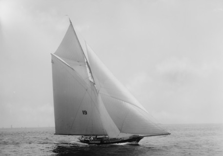 Nautilus, 1891 June 16. Creator: John S Johnston.