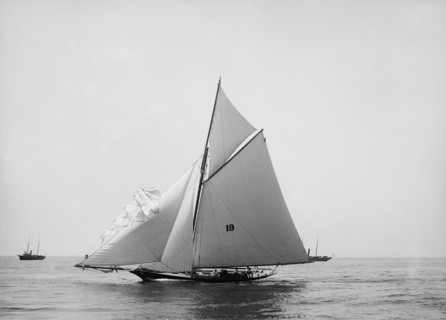 Nautilus, 1891 June 16. Creator: John S Johnston.