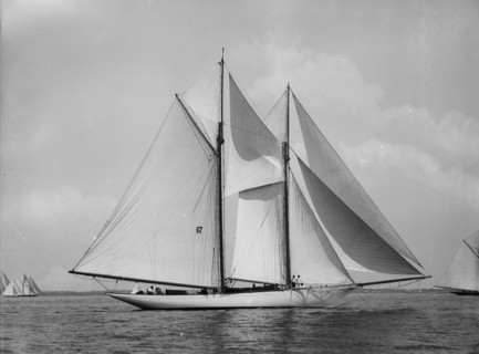 Neaera, 1894 Aug 11. Creator: John S Johnston.