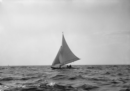 Spruce IV, 1895 Sept 28, c1895. Creator: John S Johnston.