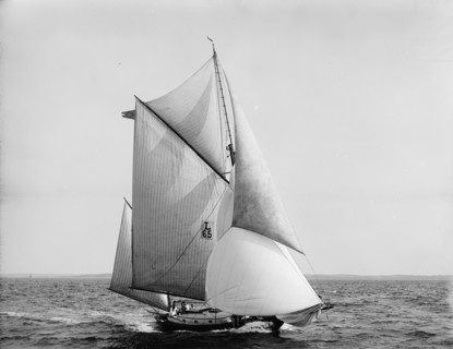 Sultan, 1899 July 29. Creator: John S Johnston.