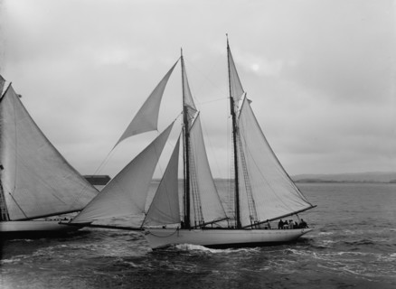 Viator, 1891. Creator: John S Johnston.