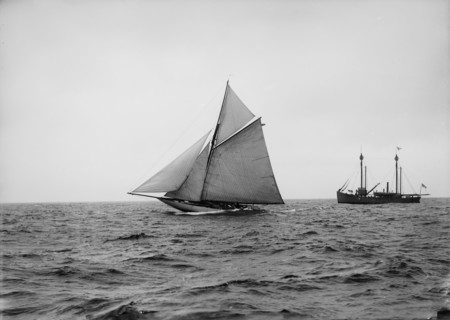 Wasp, 1894 Sept 18. Creator: John S Johnston.