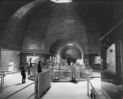 Aquarium, Belle Isle Park, interior, Detroit, Mich., between 1900 and 1910. Creator: Unknown.
