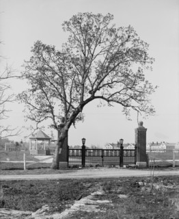 The Post gate, Fort Oglethorpe, Chicamauga [i.e. Chickamauga-Chattanooga National...., c1900-1910. Creator: Unknown.