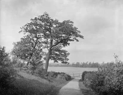 Fresh pond, Cambridge, Mass., between 1900 and 1920. Creator: Unknown.