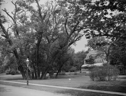 Hubbard Park, Cambridge, Mass., between 1900 and 1920. Creator: Unknown.