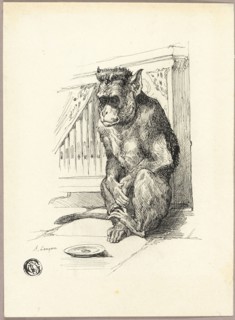 Begging Monkey, n.d. Creator: Auguste-Andre Lancon.